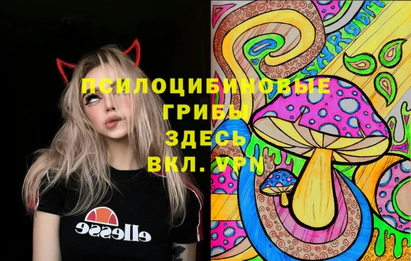 apvp Балахна